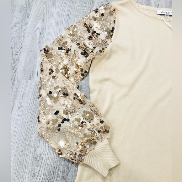 NWT Sioni Cream Gold Sequin Crew Neck Glitter Sweater Mesh Sleeve Size Small - Picture 3 of 8